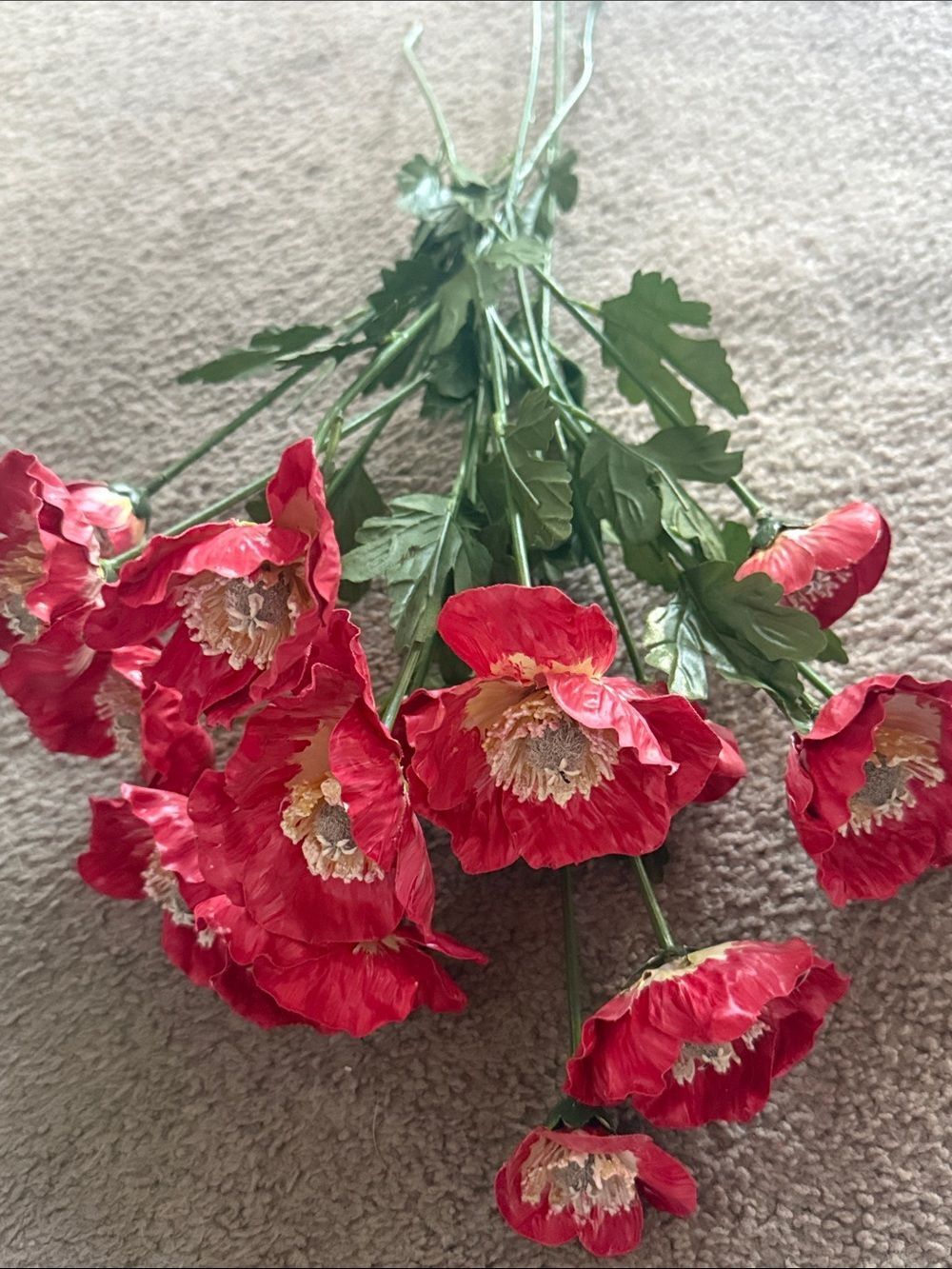 Red Hand Painted Poppy Stem Bouquet!